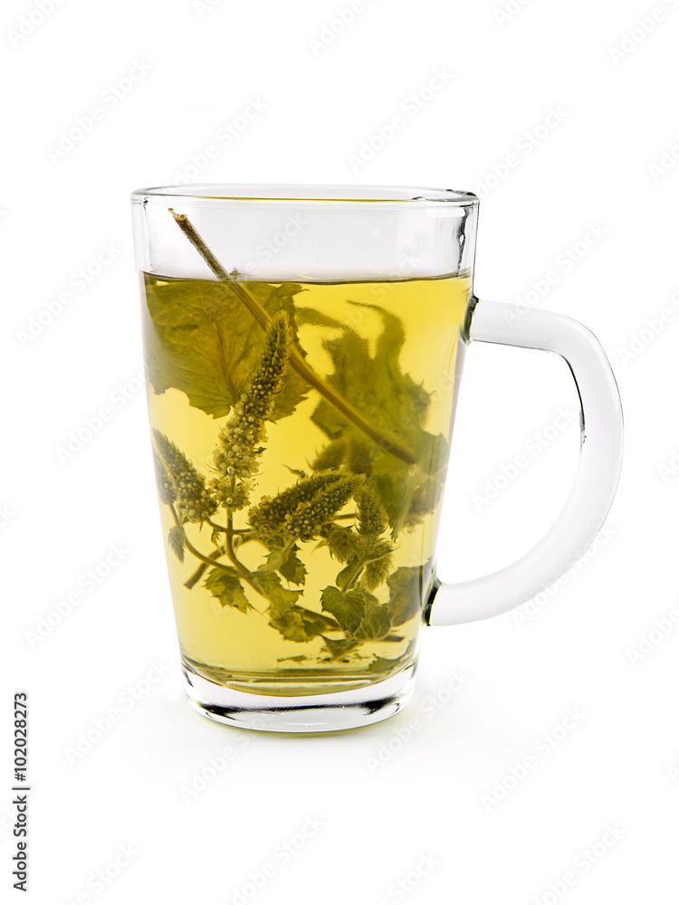 Melissa dry leaves tea in glass cup on the white background Melissa dry leaves tea in glass cup on the white background