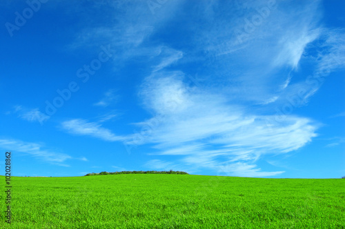 Collina con erba verde e nuvole nel cielo azzurro