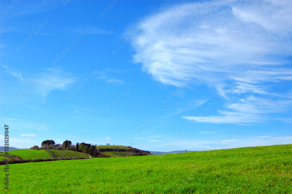 Campo coltivato con delle nuvole nel cielo azzurro 