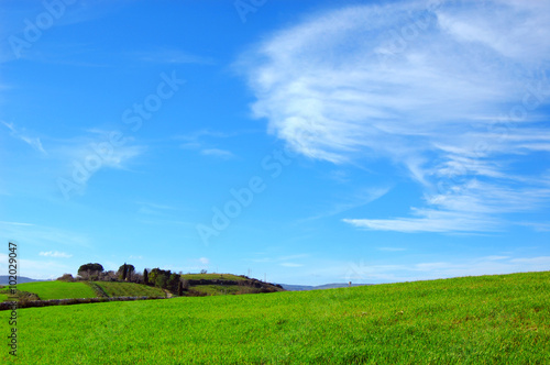Campo coltivato con delle nuvole nel cielo azzurro  © oraziopuccio
