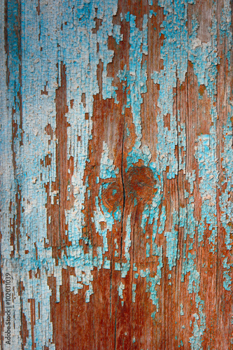 Old painted in blue wood wall - weathered texture background