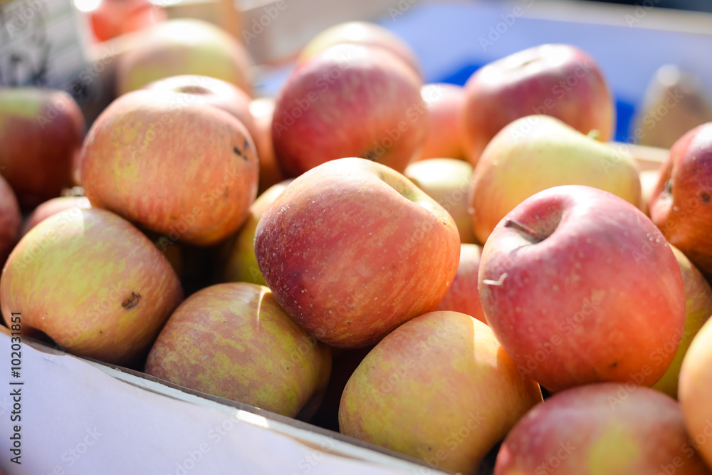 Fresh organic apples on sunny background