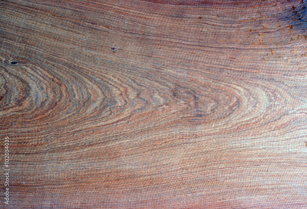 Fototapeta premium texture of wood.