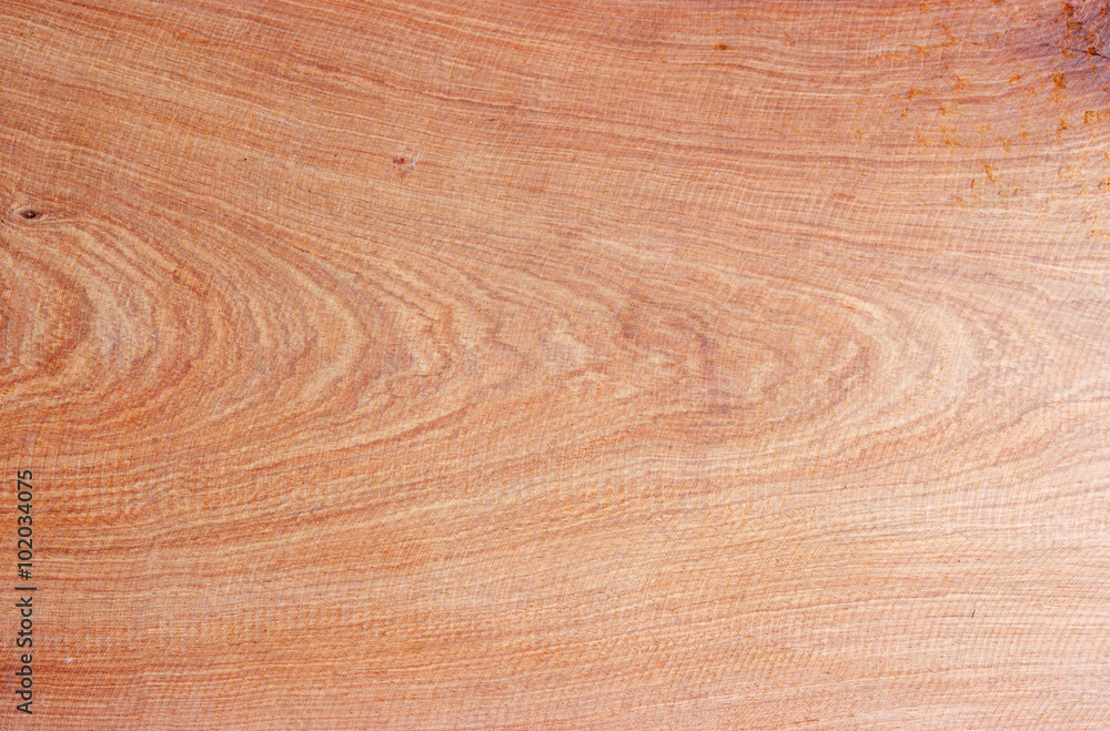 wood texture. wood texture.
