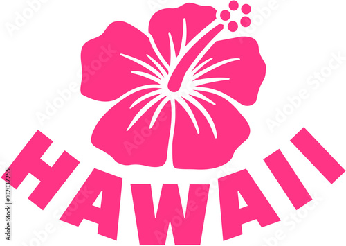 Hawaii with hibsicus flower