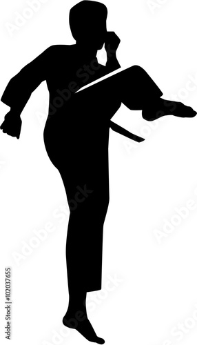 Karate kick silhouette