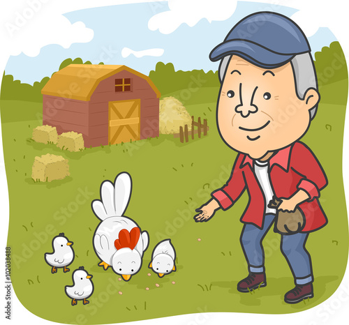 Senior Man Feed Chicken Farm