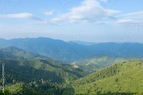 Fototapeta Naklejka Na Ścianę i Meble -  Sky, forest and mountain