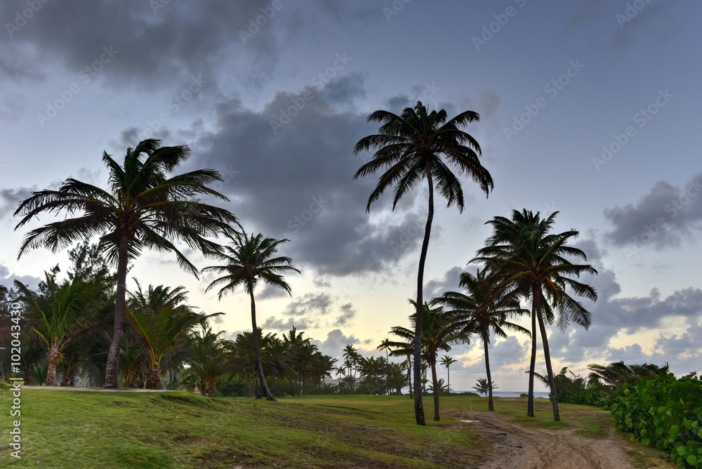 Beach and Rocks off San Juan, Puerto Rico Beach and Rocks off San Juan, Puerto Rico