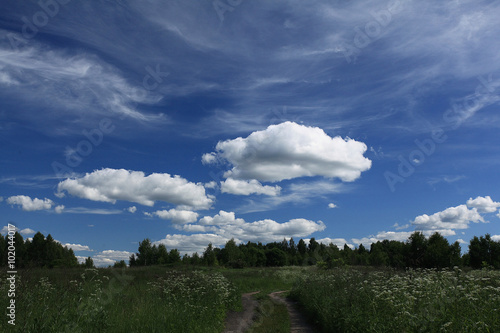 Wallpaper Mural road in summer field Torontodigital.ca