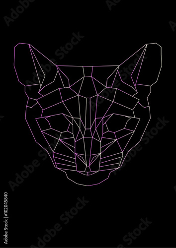 Polygon cat on a black background