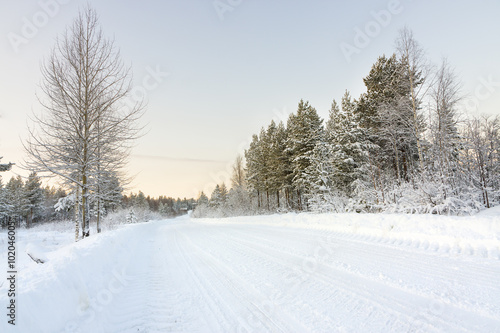 road in winter at dawn