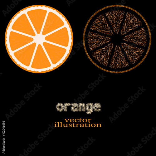 orange fruit, vector illustration