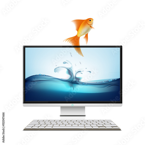 Computer monitor and goldfish.