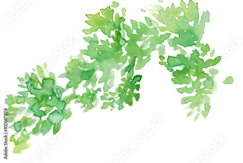 Watercolor green leaves abstract