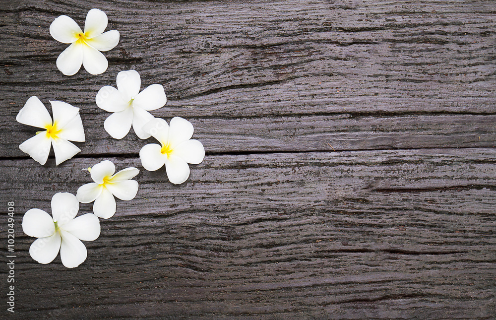 Obraz premium White flowers on vintage black wooden background