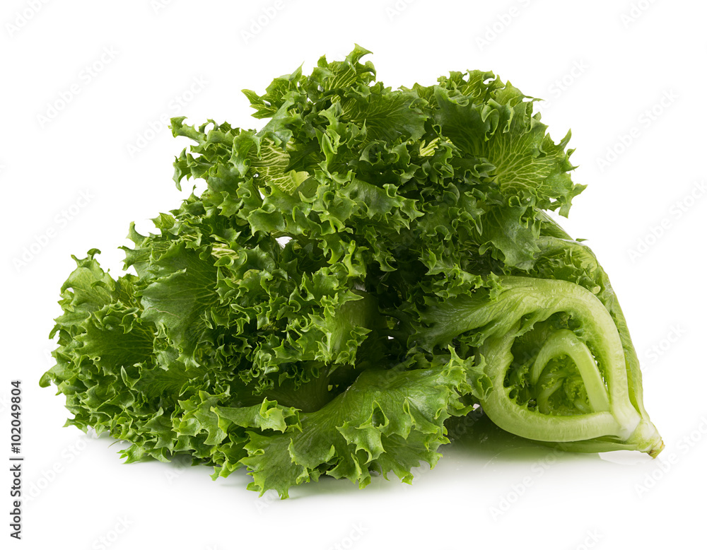 Fototapeta premium Lettuce isolated on white background