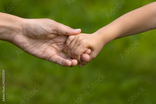 adult holding a hand of child, closeup © rodimovpavel
