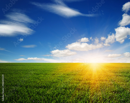  field and sun