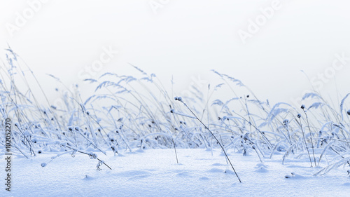 Beautiful winter snow field © Ekaterina Andreeva