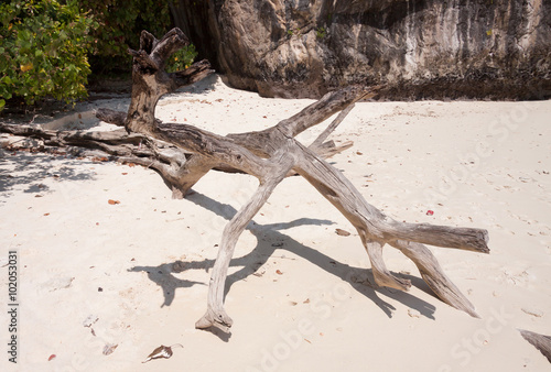Wood on white sand beach