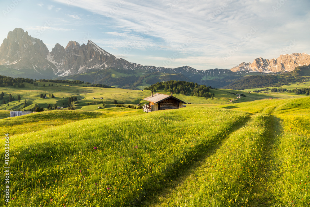 Lankoffel mountain range. View from Seiser Alm, Dolomites, Italy