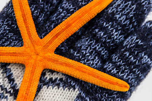 orange sea star lies on knitted glove