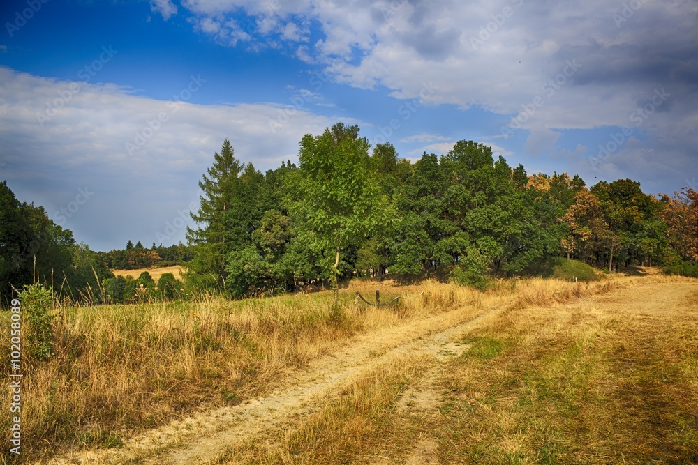 Fototapeta premium vintage rural landscape