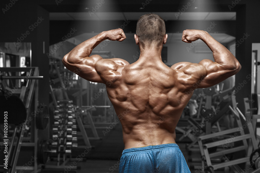 Rear view muscular man posing in gym, showing back and biceps. Strong male naked torso, working out Rear view muscular man posing in gym, showing back and biceps. Strong male naked torso, working out