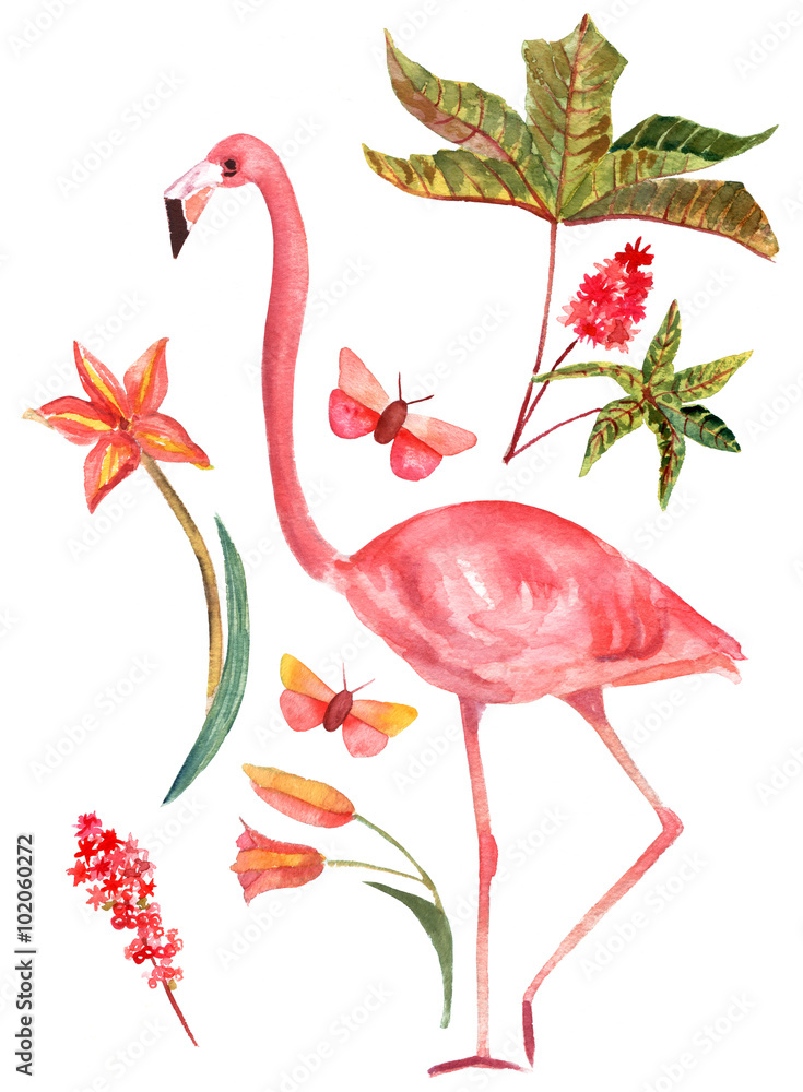 Φωτογραφία Set of vintage style watercolor drawings: flamingo, butterflies and plants