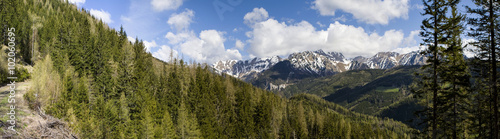 Bergmassiv des Reiting in den Eisenerzer Alpen, Steiermark, Österreich, Europa © David Brown