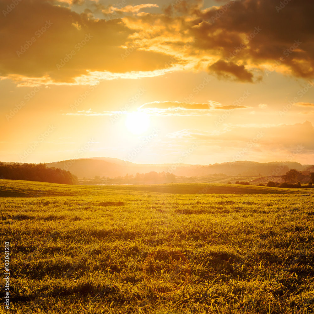 Obraz premium Summer Field and Clouds in Golden Light of Sunset