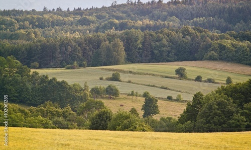 Wallpaper Mural vintage rural landscape Torontodigital.ca