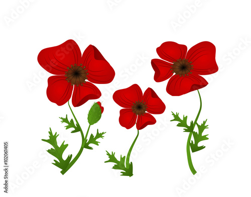 Fototapeta Naklejka Na Ścianę i Meble -  Red weed illustration