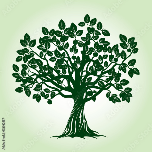 Green Apple Tree. Vector Illustration.