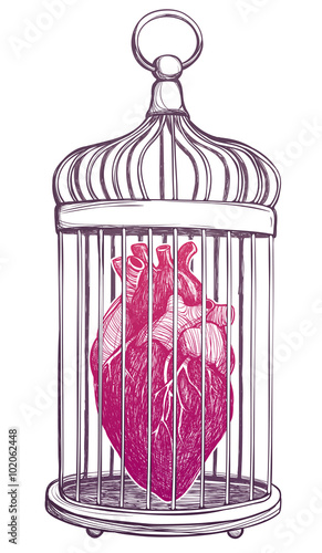 Fotografie, Tablou Birdcage with anatomical heart.