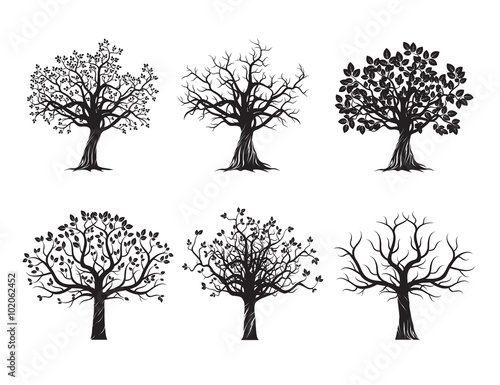 Collection of Black Trees. Vector Illustration.