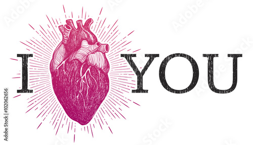 I Love You with human anatomical heart.