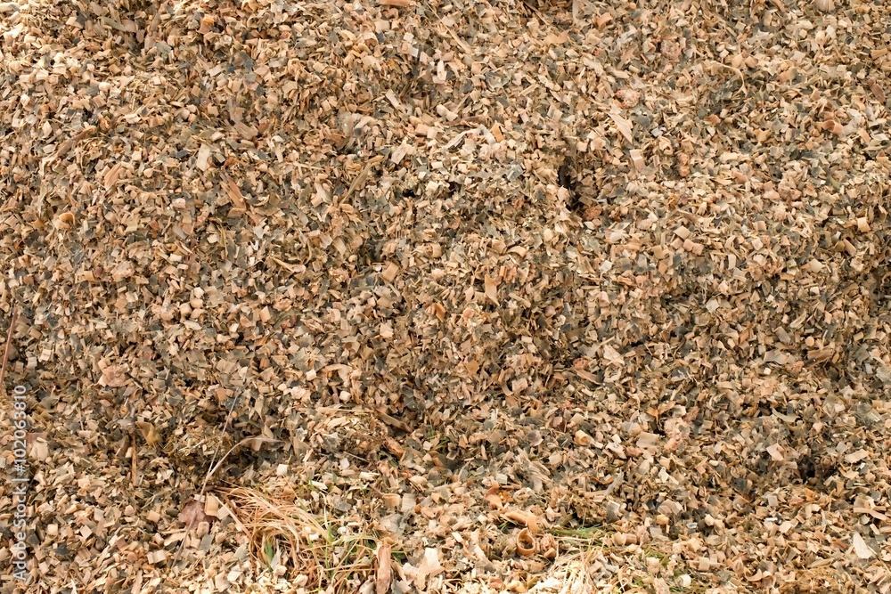 Corn maize silage milled as animal feed. Waste from corn shelling process Corn maize silage milled as animal feed. Waste from corn shelling process