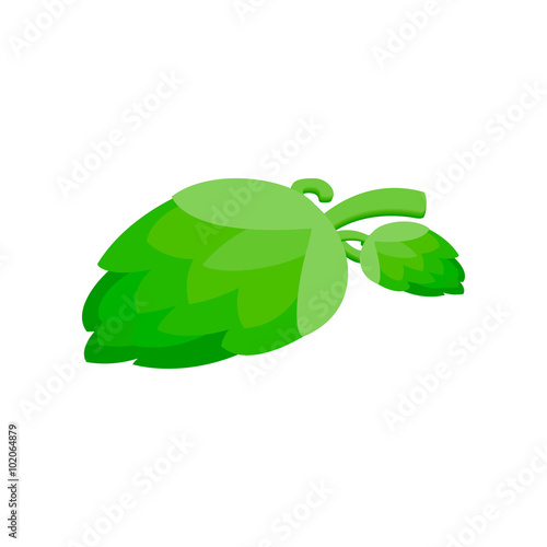 Branch of hops isometric 3d icon
