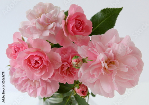 Bouquet of pink roses on a white background.