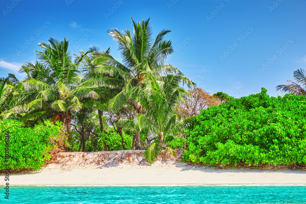 Obraz premium Shoreline of a tropical island in the Maldives and view of the I