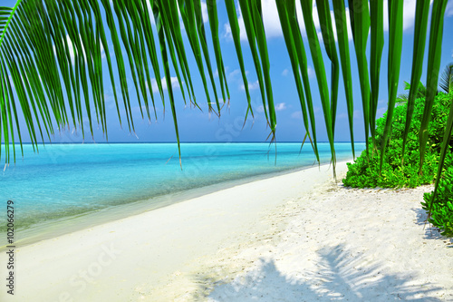 Shoreline of a tropical island in the Maldives and view of the I