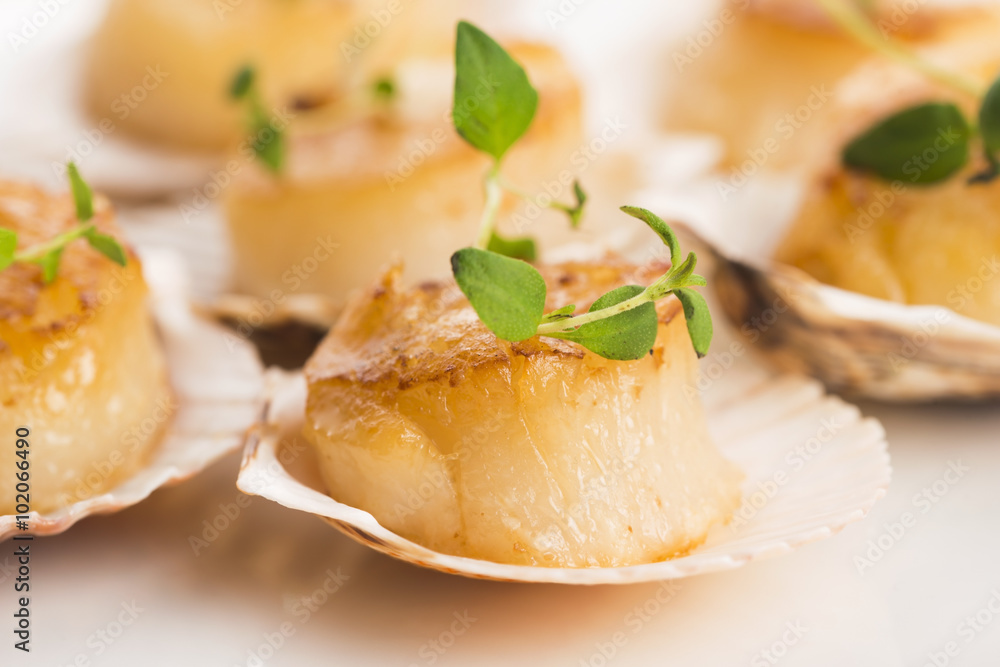 scallops scallops