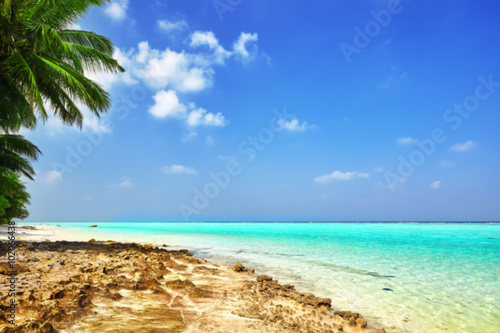 Fototapeta Naklejka Na Ścianę i Meble -  Shoreline of a tropical island in the Maldives and view of the I