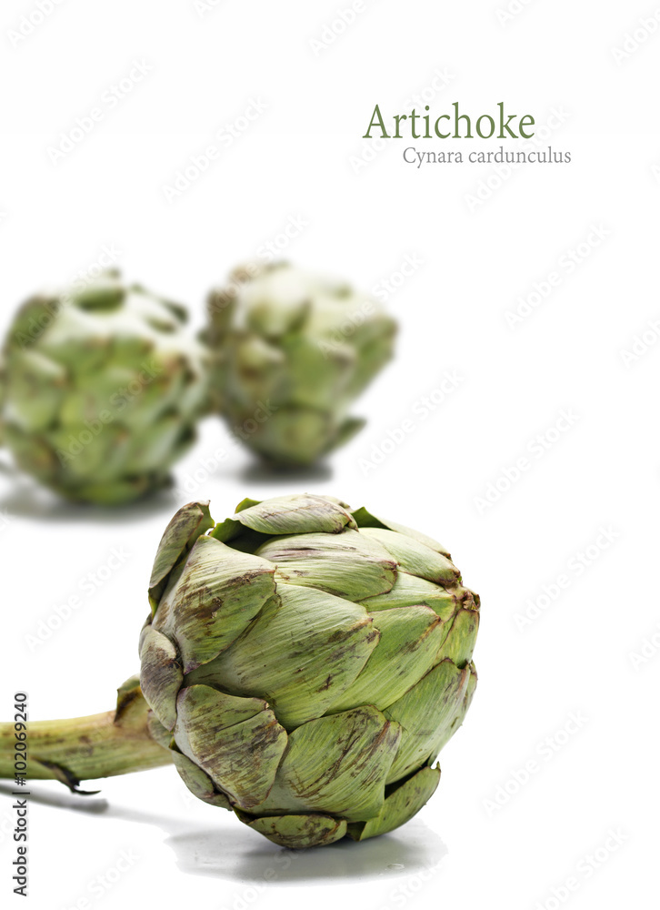 Fototapeta premium fresh artichokes isolated on a white background, sample text, ve
