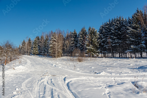 Photo of the winter country road. Trees  covered with snow. Winter landscape.  Russia.