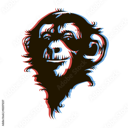 Monkey face 3D anaglyph style