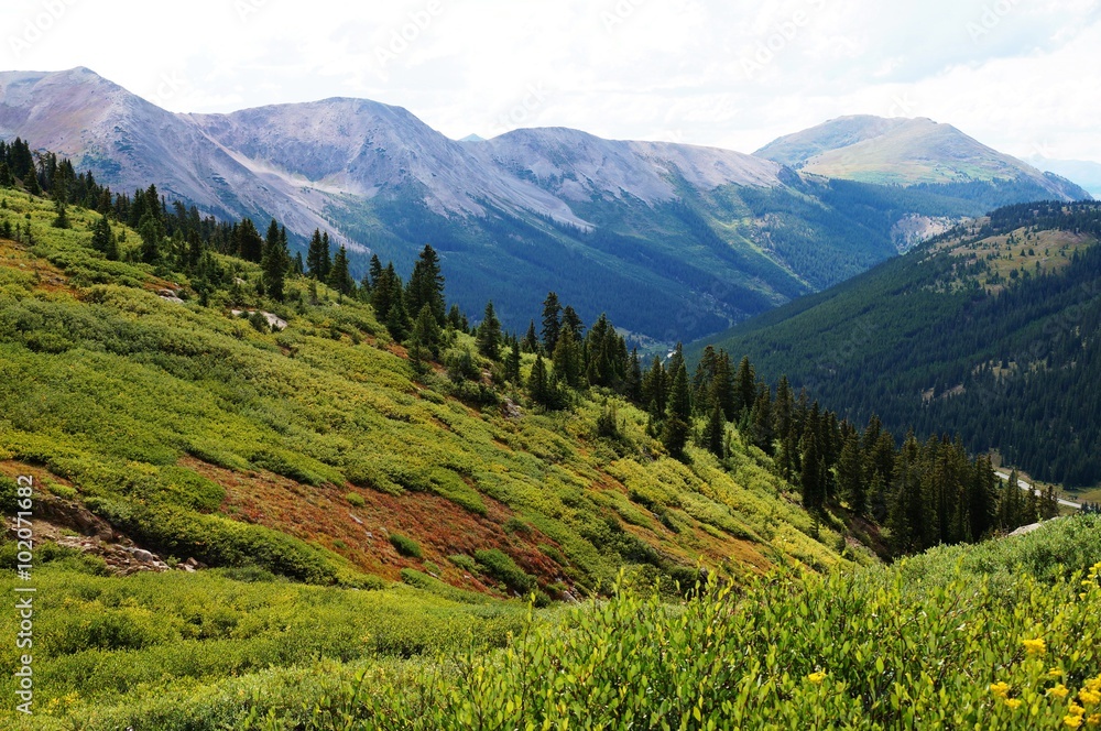 Fototapeta premium View from Independence Pass on the Continental Divide in Colorado, USA