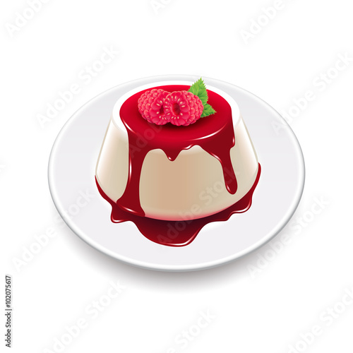 Panna cotta isolated on white vector